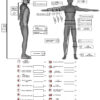 English Measure form 2